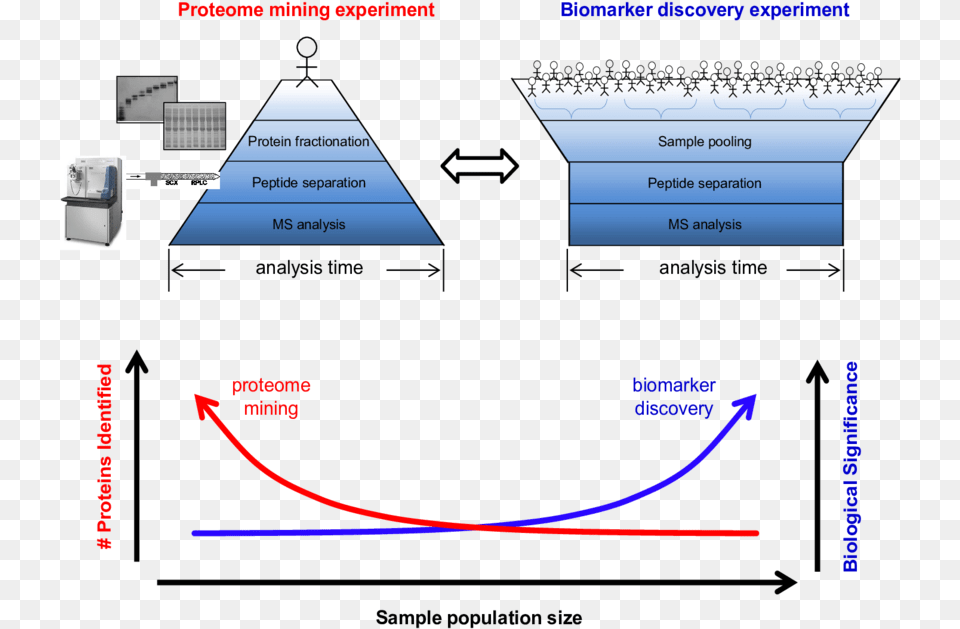 Diagram, Triangle Free Transparent Png