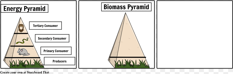 Diagram, Triangle, Grass, Plant Png Image