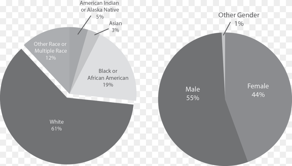 Diagram, Chart, Pie Chart, Disk Free Transparent Png