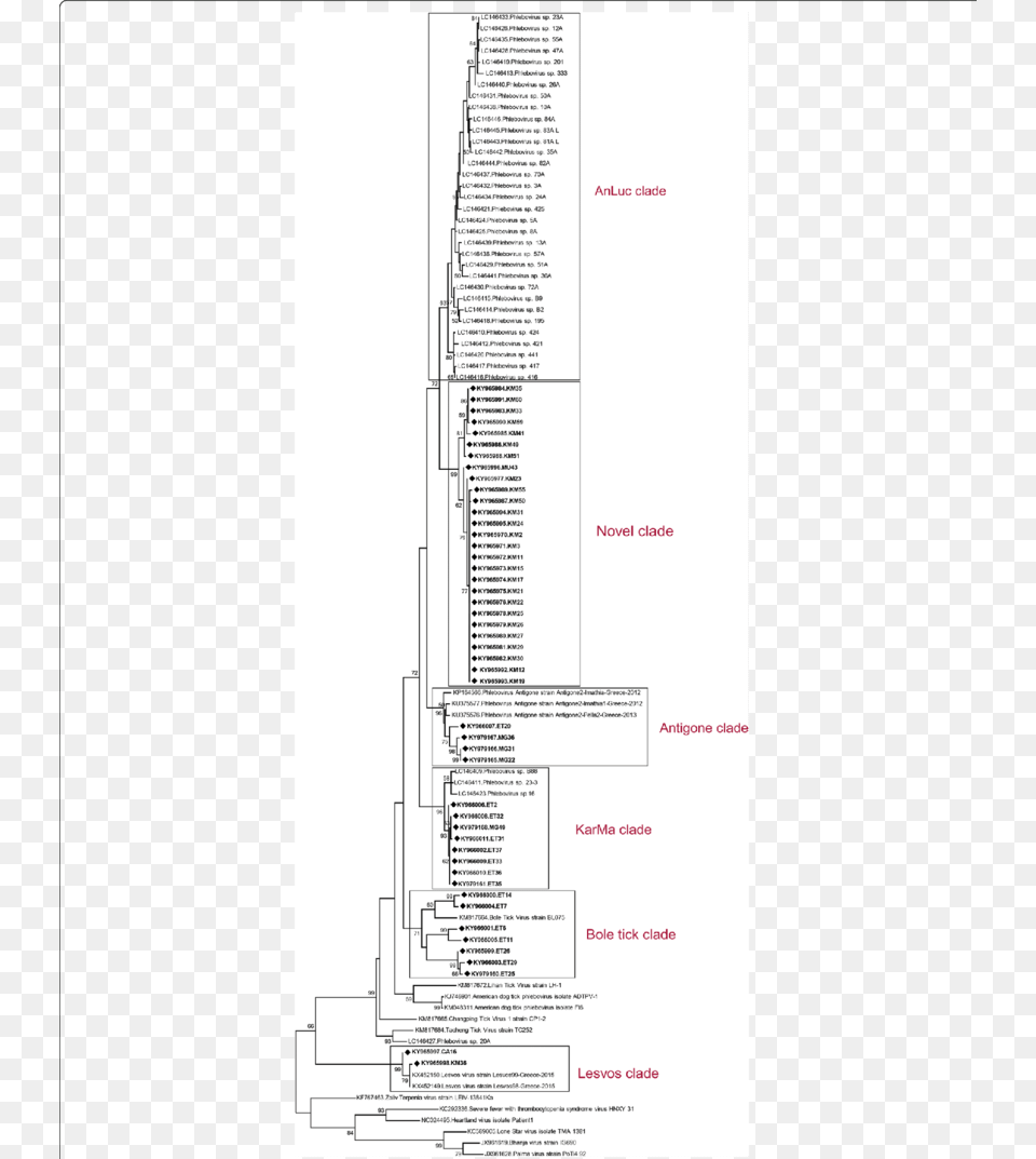 Diagram, Chart, Plan, Plot, City Png Image