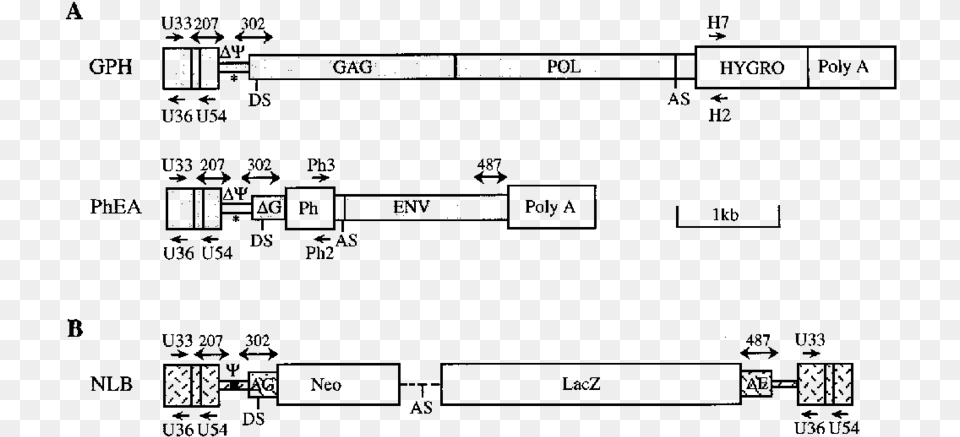 Diagram, Gray Free Transparent Png