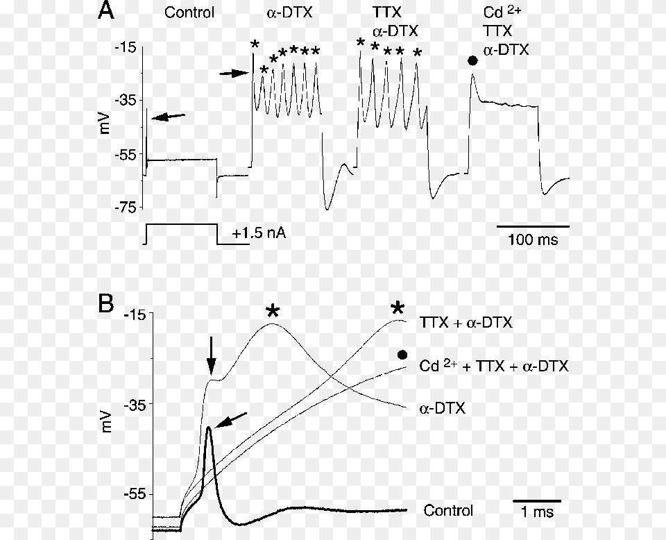 Diagram, Chart, Plot, Measurements Png