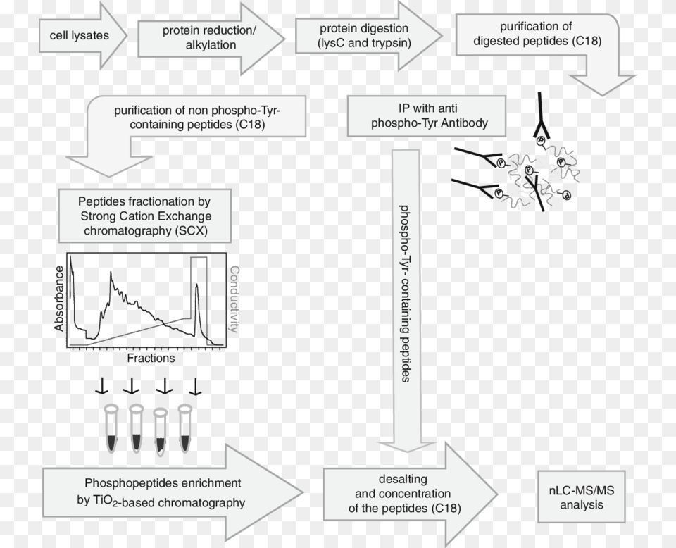 Diagram Png