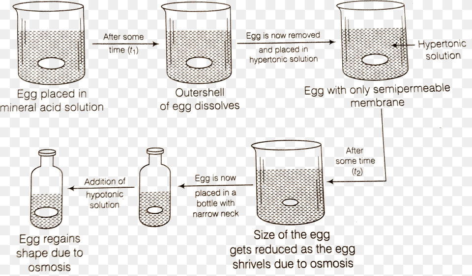 Diagram, Cylinder, Jar Free Png