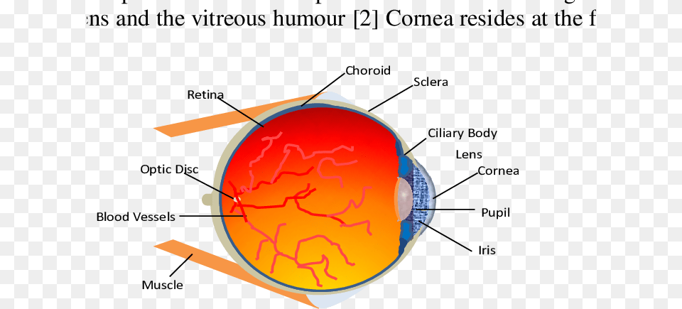 Diagram, Ct Scan, Astronomy, Outer Space Png Image