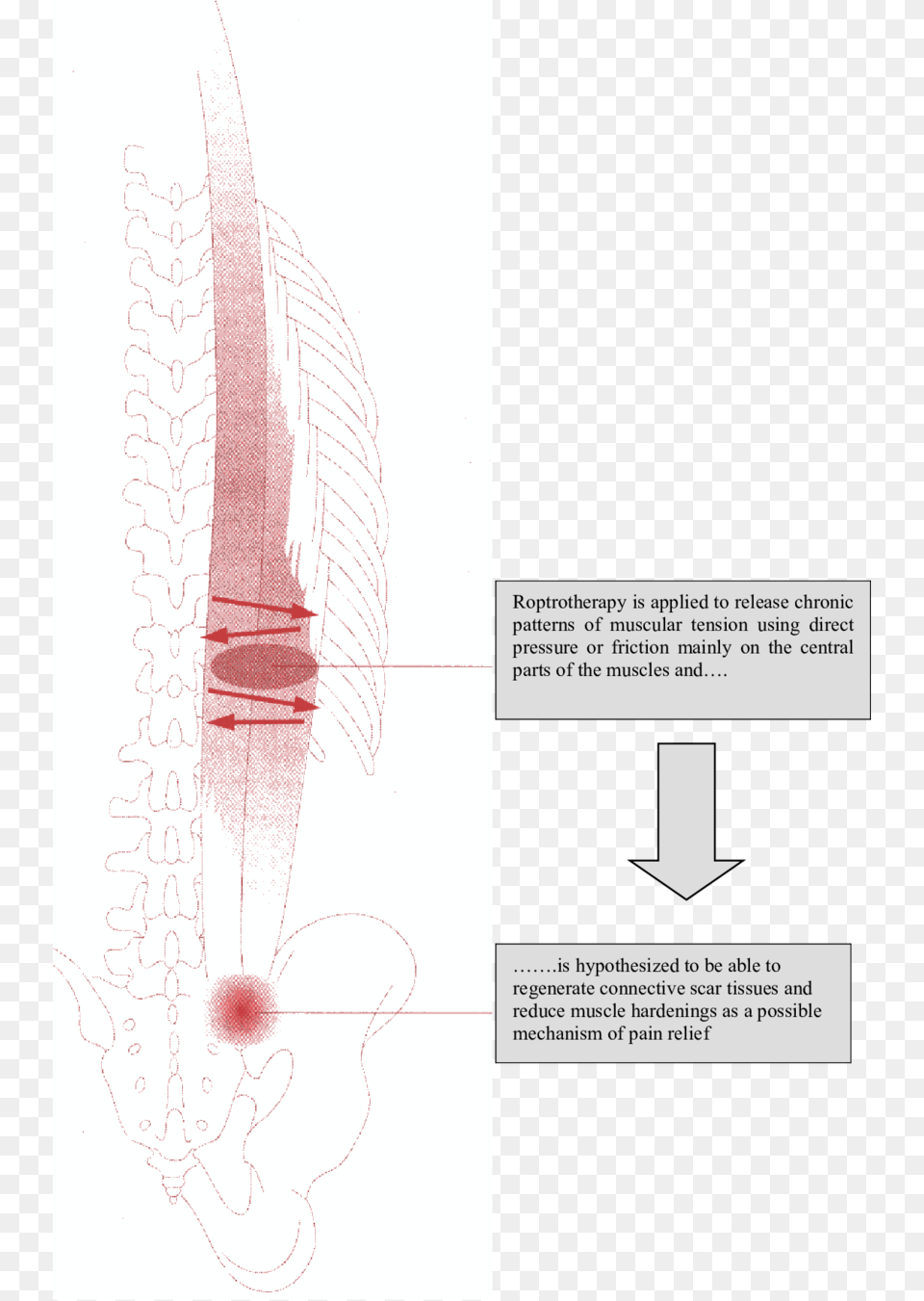 Diagram Free Png