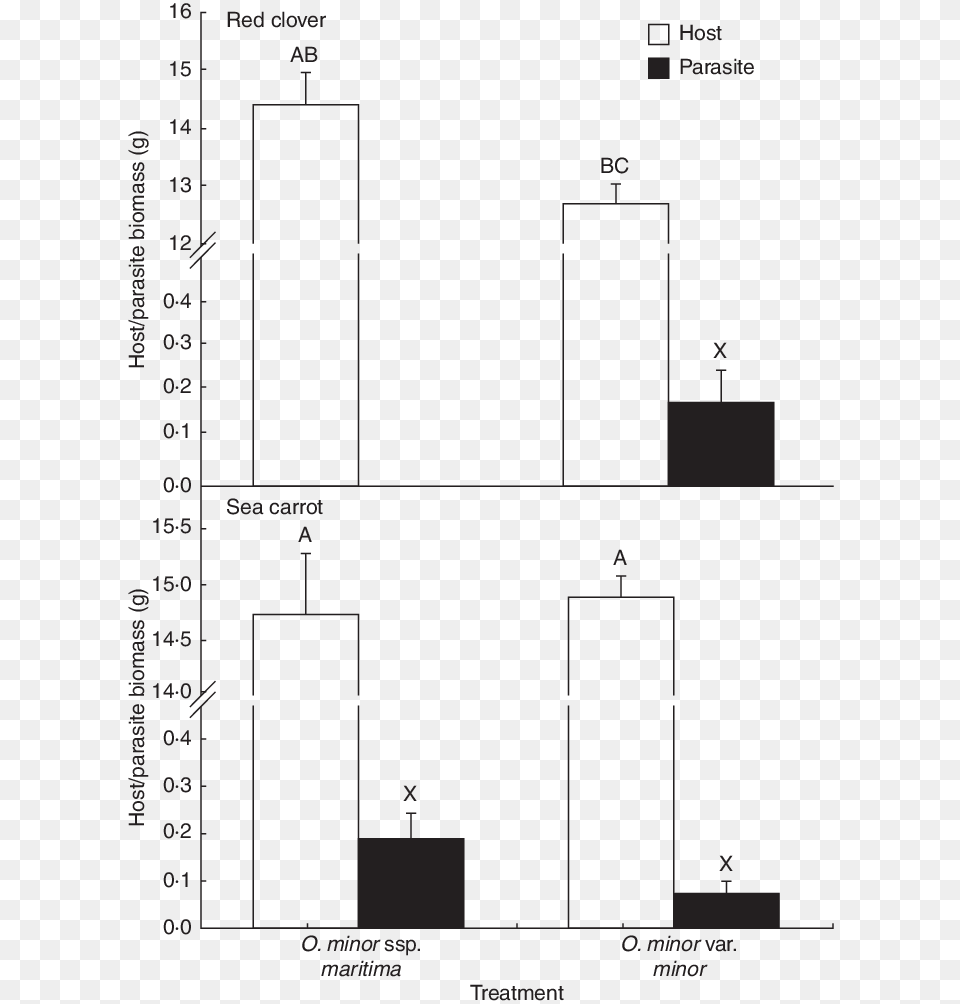 Diagram Png