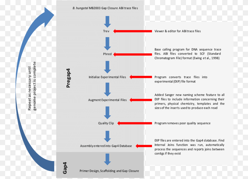 Diagram, First Aid, Page, Text Free Png