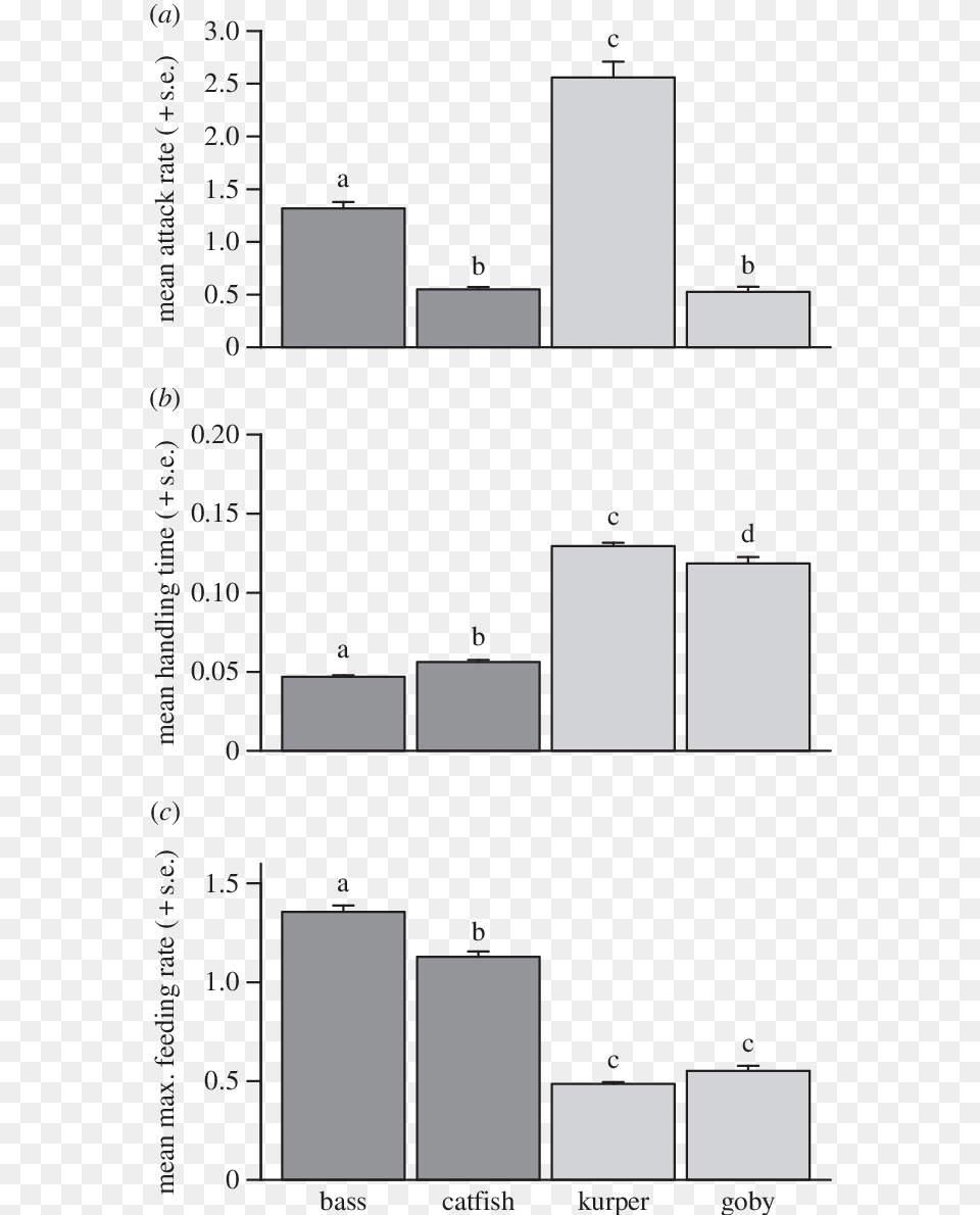 Diagram Free Png