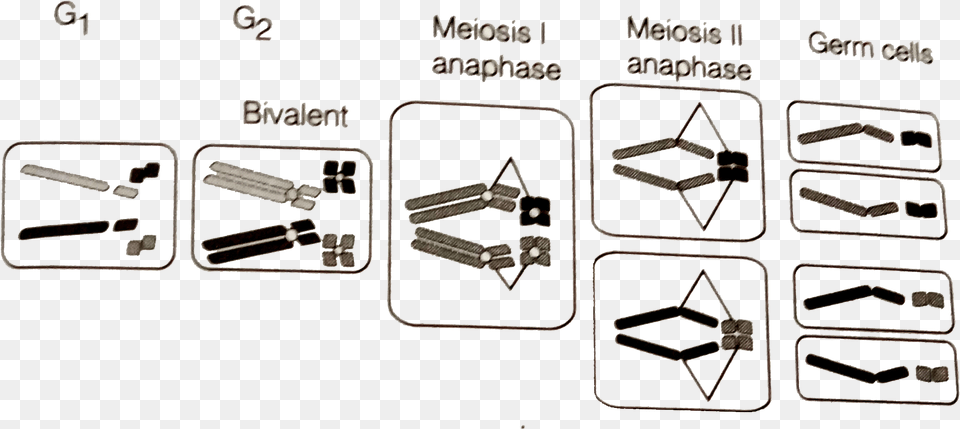 Diagram, Accessories Free Png Download