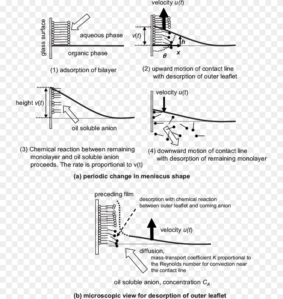 Diagram, Arch, Architecture, Aircraft, Airport Png Image