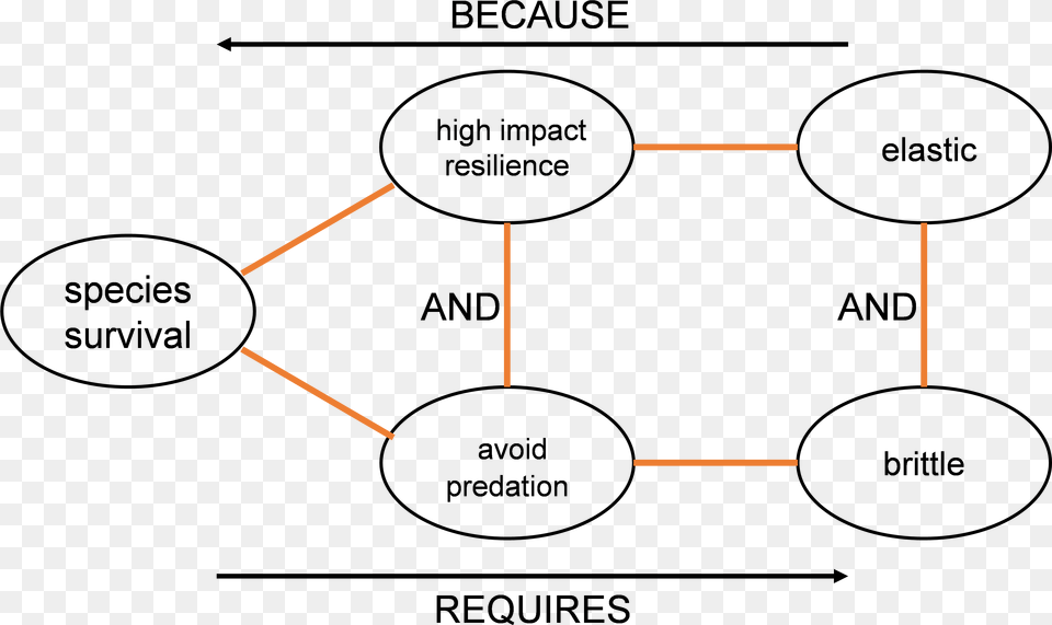 Diagram Png