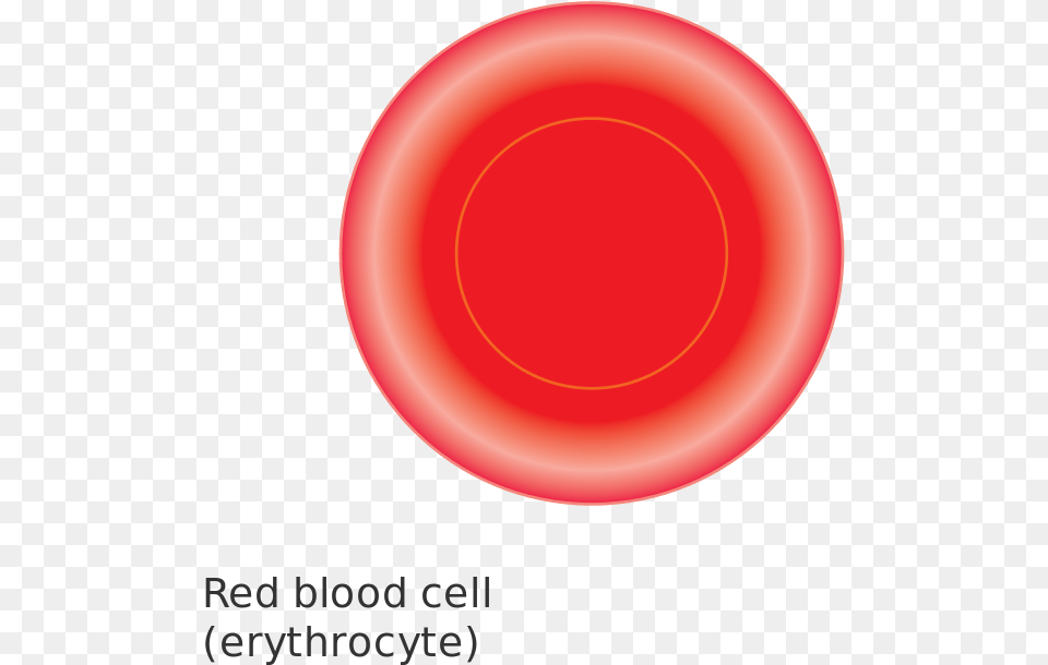 Diagram Of A Red Blood Cell Cruk Blood Cell Diagram Transparent, Toy, Frisbee, Disk Png Image
