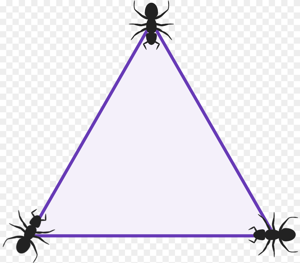 Diagram Of A Triangle With 3 Ants Sat One At Each Vertex Triangle, Animal, Insect, Invertebrate, Spider Free Png Download