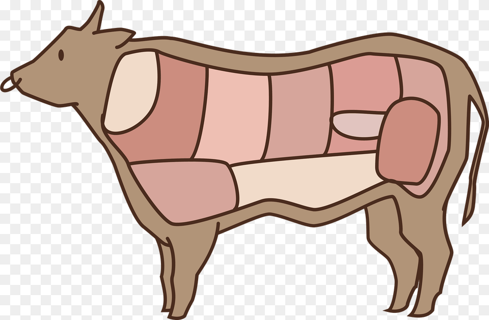 Diagram Of Beef Cuts Clipart, Animal, Mammal, Pig, Couch Free Png Download