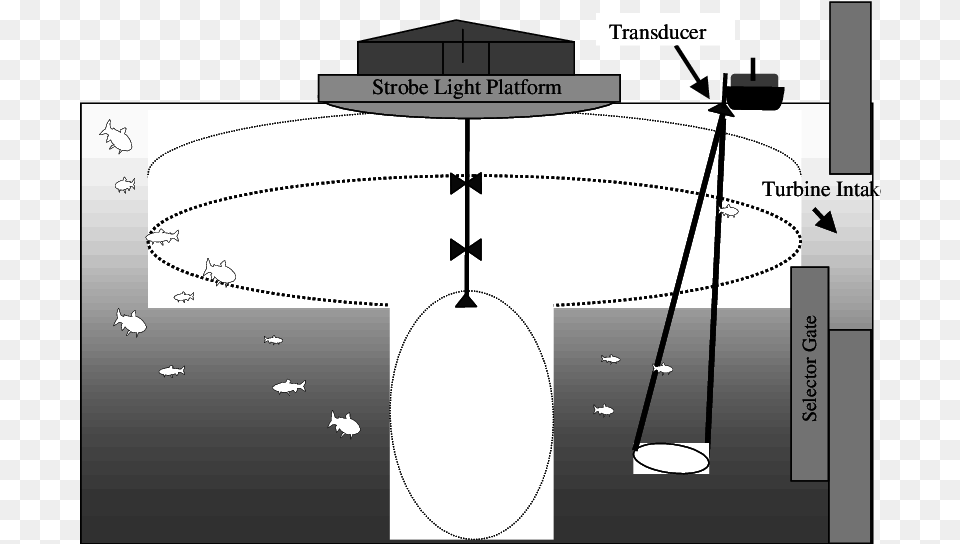 Diagram Of Strobe Light And Hydroacoustic Equipment Setup Vertical, Chart, Plot Png