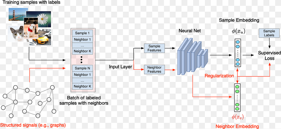 Diagram Of Structured Signals In Addition To Regular Neural Structured Learning, Animal, Canine, Dog, Mammal Free Transparent Png