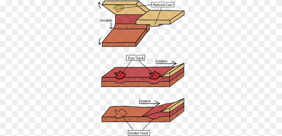 Diagram Of Types Of Tracks As Rock Layers Erode Rock, Wood, Architecture, Building, Housing Free Png
