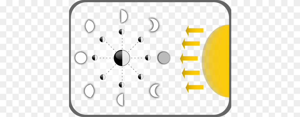 Diagram Showing Different Moon Phases Moon Phases No Labels, Face, Head, Person Free Transparent Png