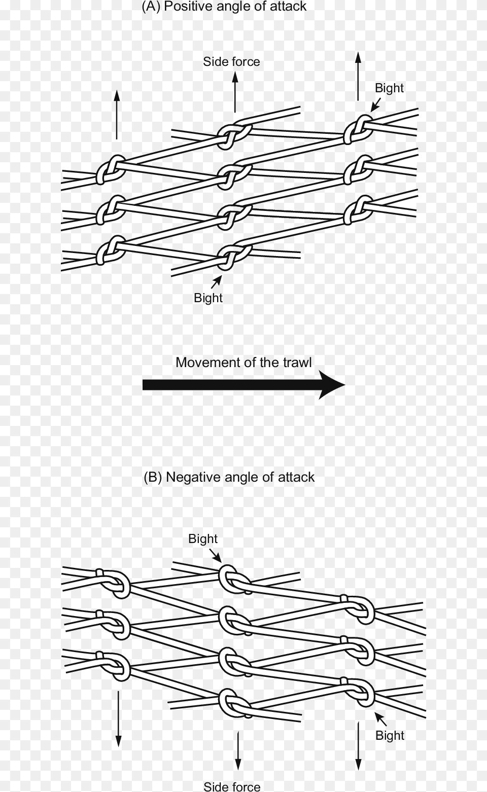 Diagrammatic Representation Of Panels Of Netting Orientated Diagram, Cutlery, Fork Png Image