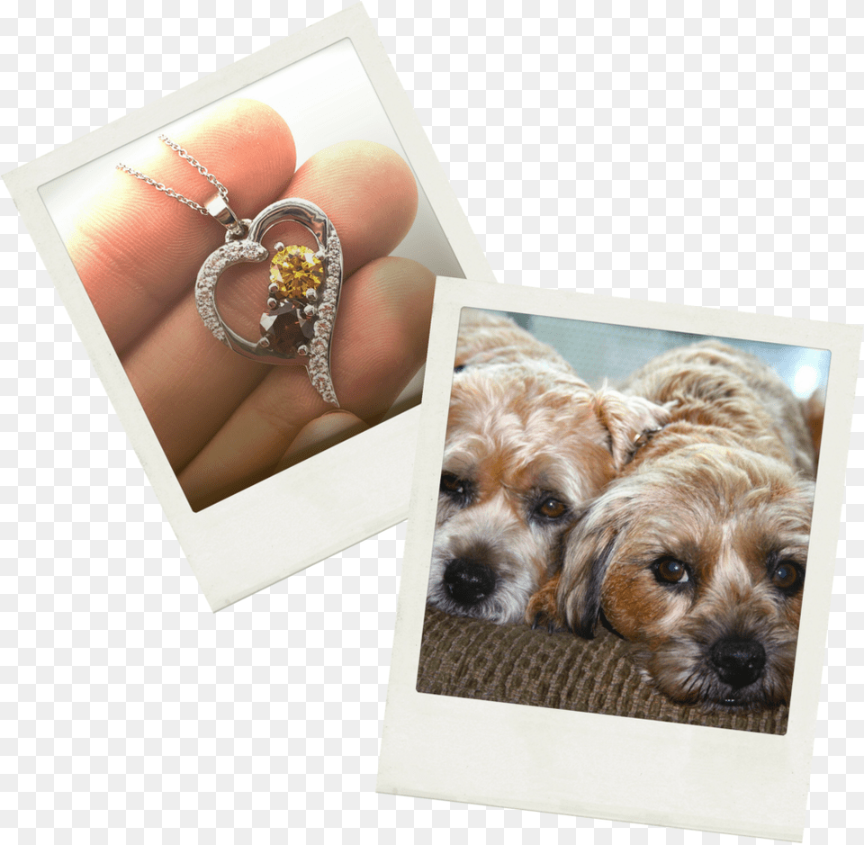 Diamond Dogs, Accessories, Jewelry, Ring, Locket Free Transparent Png