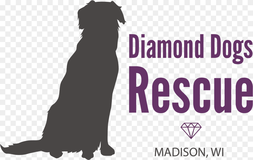 Diamond Dogs Logo Poster, Adult, Bride, Female, Person Free Png Download