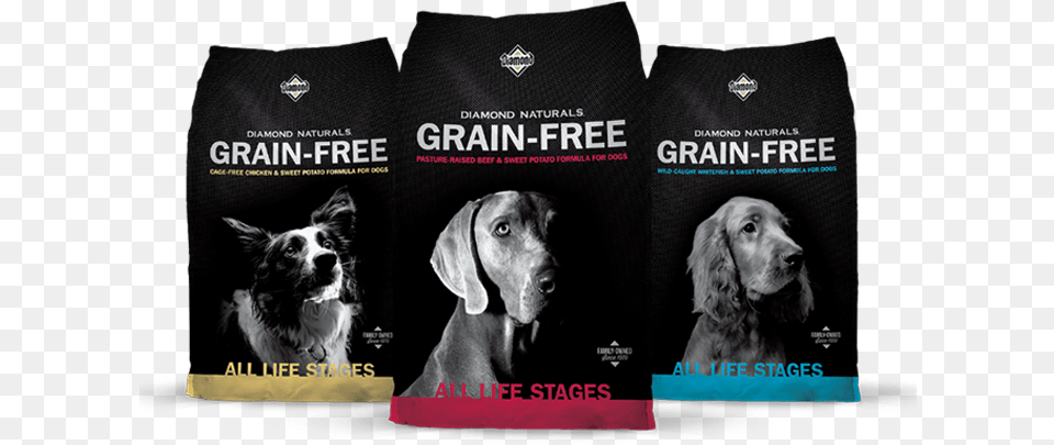 Diamond Naturals Grain Diamond Naturals Grain Chicken, Animal, Canine, Dog, Mammal Free Png Download