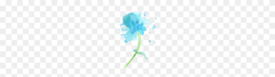 Diamond Ring Jewelry, Flower, Plant, Anemone Png