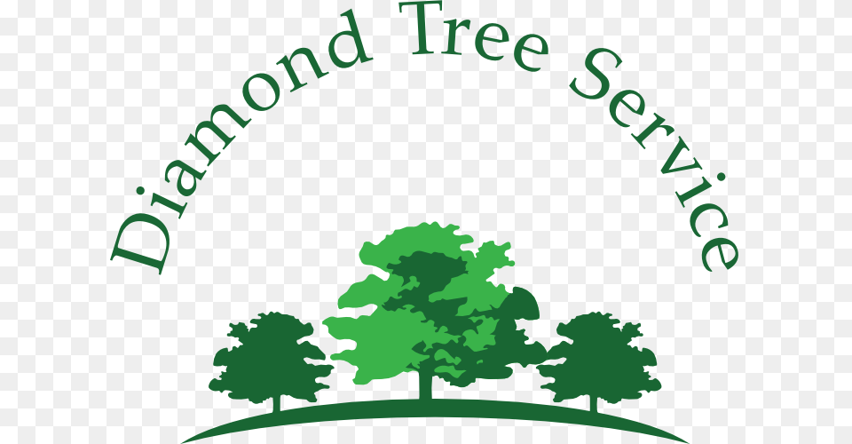 Diamond Tree Service Better Business Profile, Green, Vegetation, Plant, Woodland Png