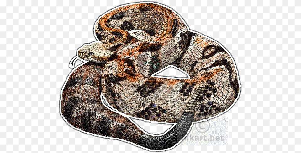 Diamondback Rattlesnake Timber Or Canebrake Rattlesnake Throw Blanket, Animal, Reptile, Snake Free Png