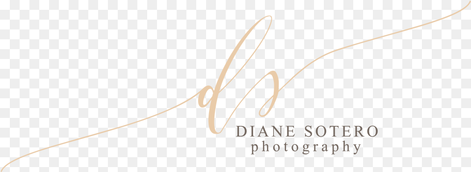 Diane Sotero Calligraphy, Handwriting, Text, Signature, Blade Free Transparent Png
