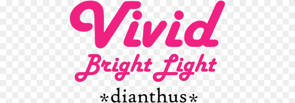 Dianthus Vivid Bright Light U0027uribest52u0027 Concept Plants Dot, Dynamite, Weapon, Text Free Png Download