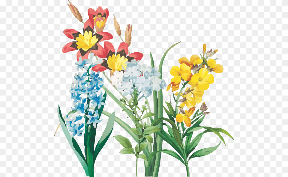 Diary Design Flower, Flower Arrangement, Plant, Flower Bouquet, Daffodil Png