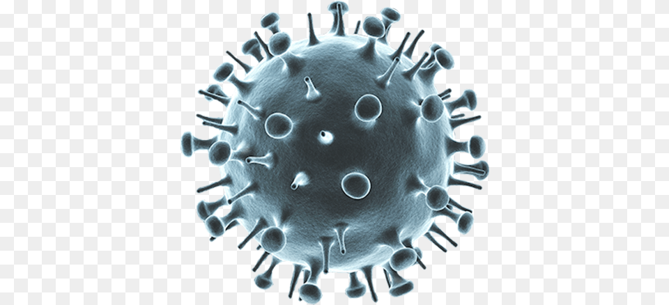 Diasorin Molecular Simplexa Influenza A H1n1 Kit Influenza A Virus, Plant, Pollen, Sphere, Animal Free Transparent Png