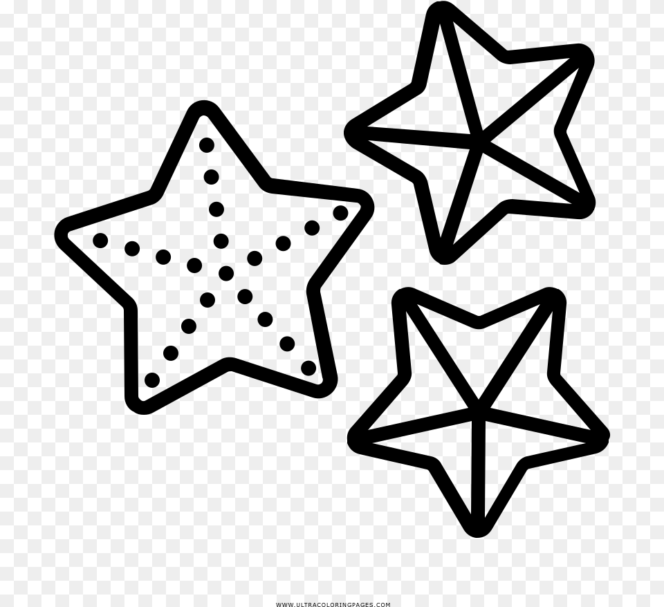 Dibujo De Estrella De Mar Para Colorear Drawing, Gray Free Png