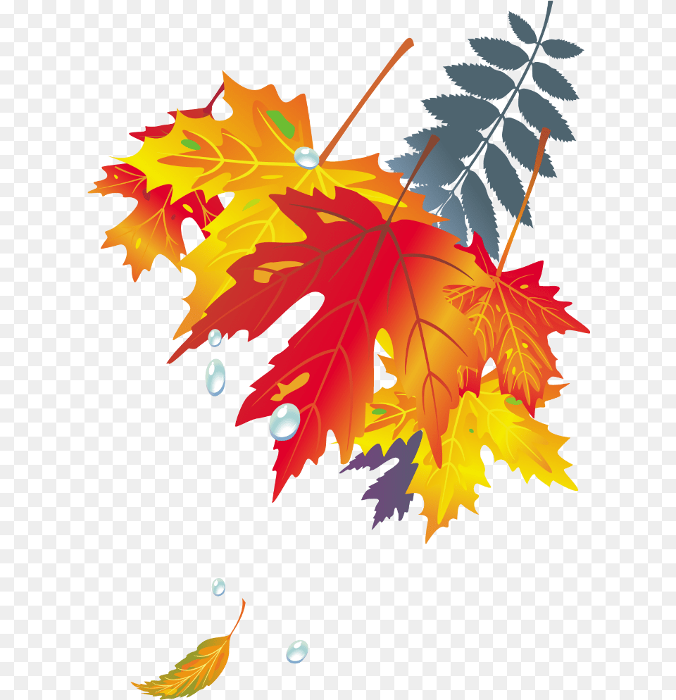 Dibujo De Hojas De Poster Autumn Leaves, Leaf, Plant, Tree, Maple Leaf Free Transparent Png
