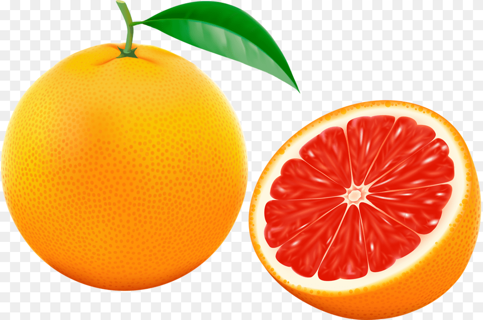 Dibujo De La Fruta Pomelo, Citrus Fruit, Food, Fruit, Grapefruit Png Image