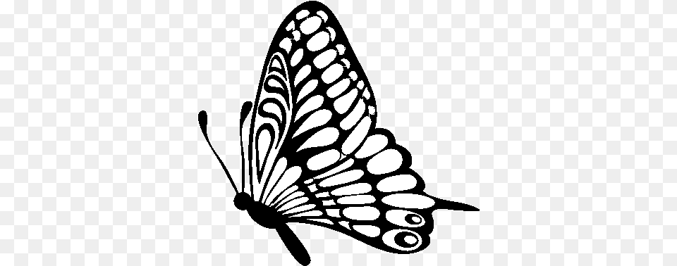Dibujo De Mariposa Direccin Izquierda Para Colorear Butterflies Black And White Clipart, Art, Animal, Butterfly, Insect Png Image