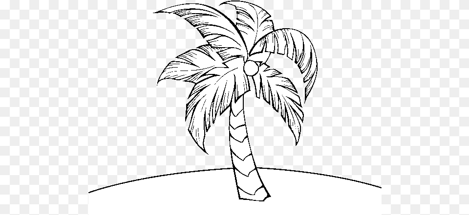Dibujo De Una Palmera Para Colorear Palmeras Para Colorear, Palm Tree, Plant, Tree, Person Free Png
