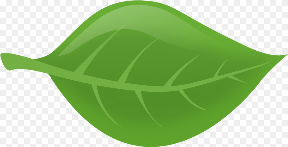 Dibujo Hojas Illustration, Leaf, Plant, Animal, Fish Png Image