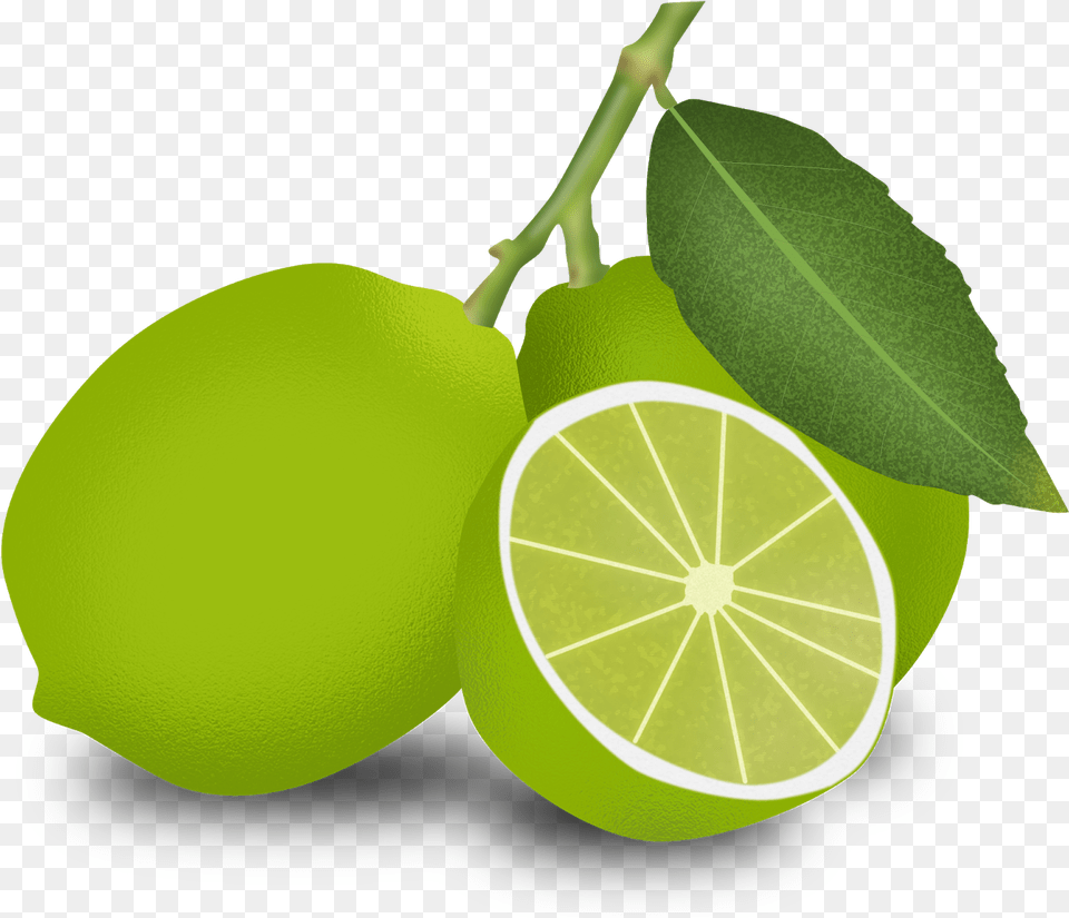 Dibujo Limones, Citrus Fruit, Food, Fruit, Lime Free Png