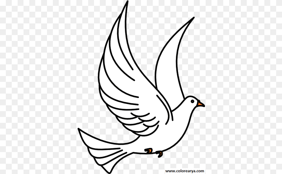 Dibujo Paloma 7 Birds Clipart Black And White, Animal, Bird, Pigeon, Dove Free Transparent Png