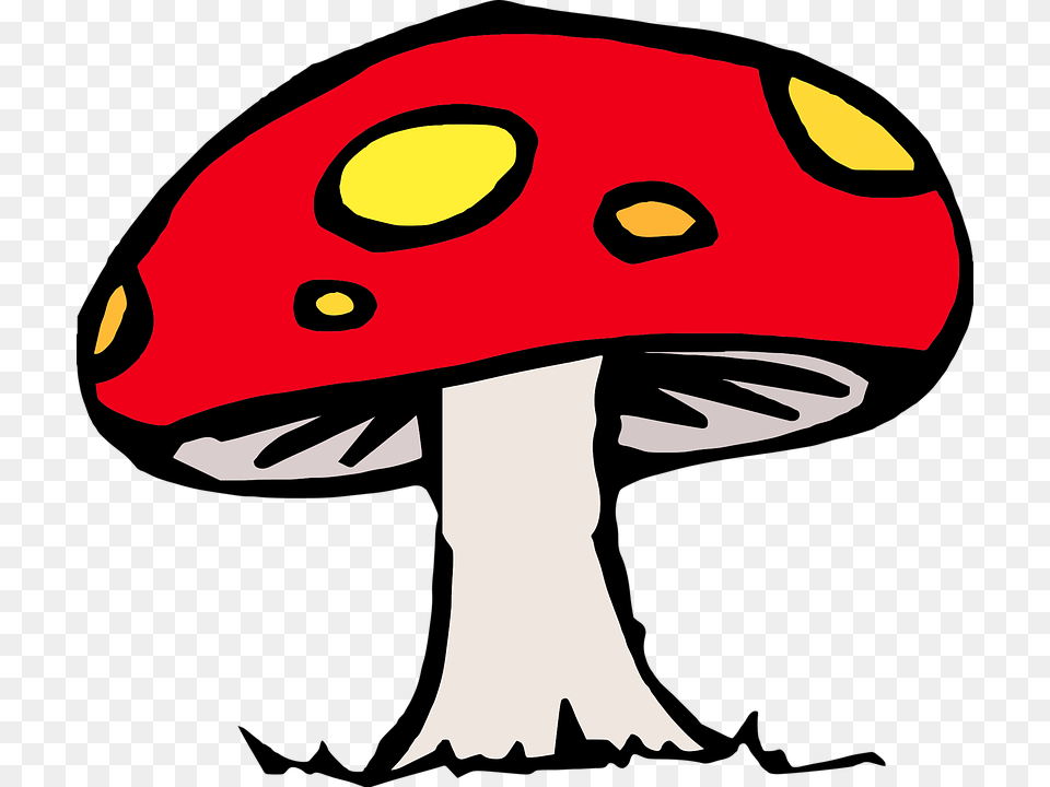 Dibujo Seta Mushroom Clip Art, Baby, Person, Fungus, Plant Free Png