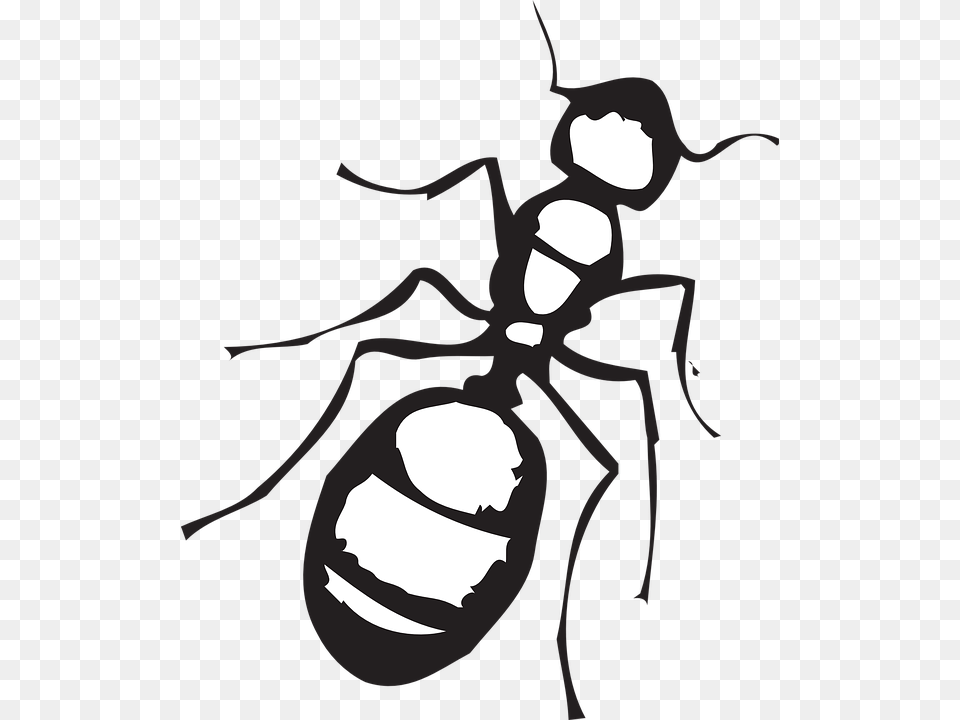 Dibujos Animados De Hormigas Ant Clipart Black And White, Animal, Insect, Invertebrate, Person Png Image