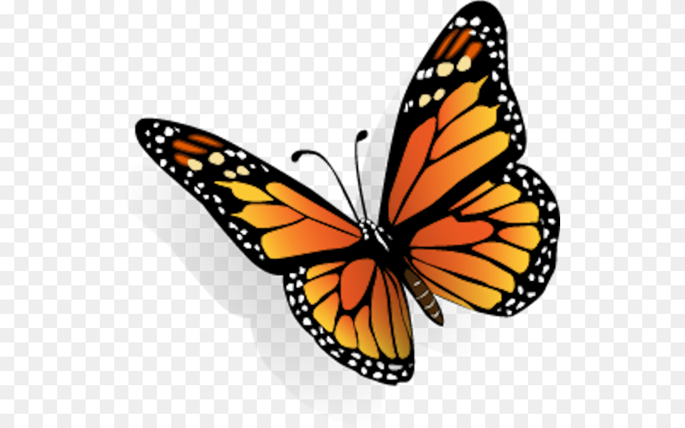 Dibujos De Mariposas En 3d, Animal, Butterfly, Insect, Invertebrate Free Png Download