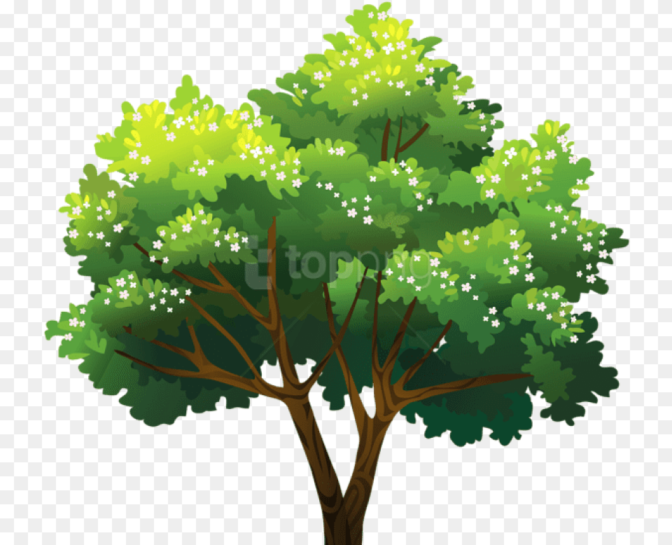 Dibujos Del Mar Sucio Y Mar Limpio, Oak, Plant, Sycamore, Tree Png