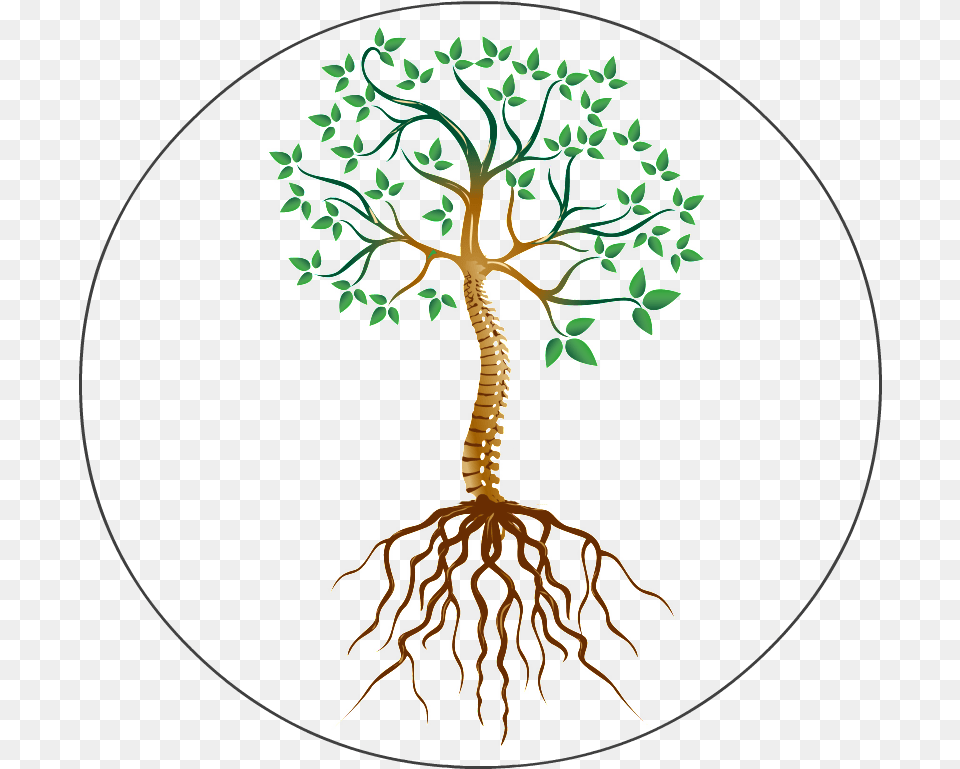 Dick Skelton The Root Root Cause, Plant, Tree Png Image