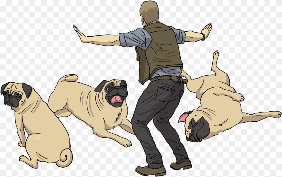 Did You Know That Chris Pratt Owns Several Pugs Pug Jurassic Park, Adult, Person, Man, Male Png Image