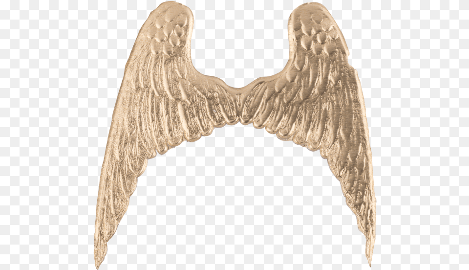 Die Cut Articles Angel Wings Gold 6 X 6cm Arch, Animal, Bird, Wood, Bronze Free Png