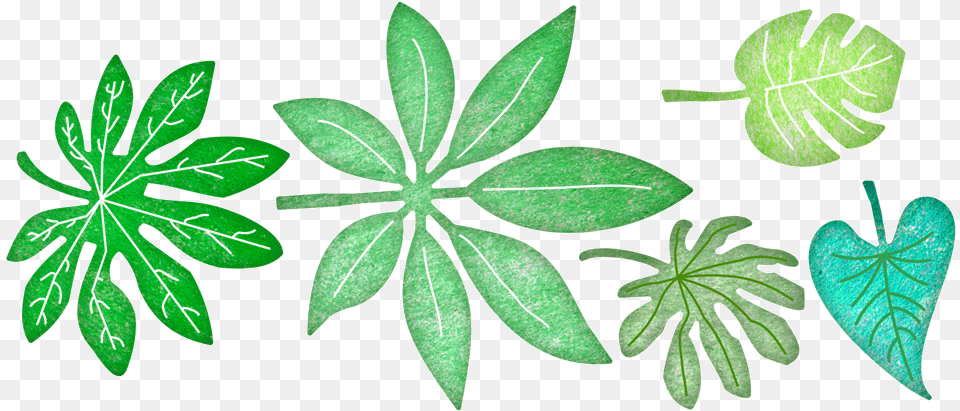 Die Tropical Leaves Download Portable Network Graphics, Herbal, Herbs, Leaf, Plant Png Image